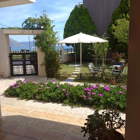 Sea View Studio Kirra Zewnętrze zdjęcie
