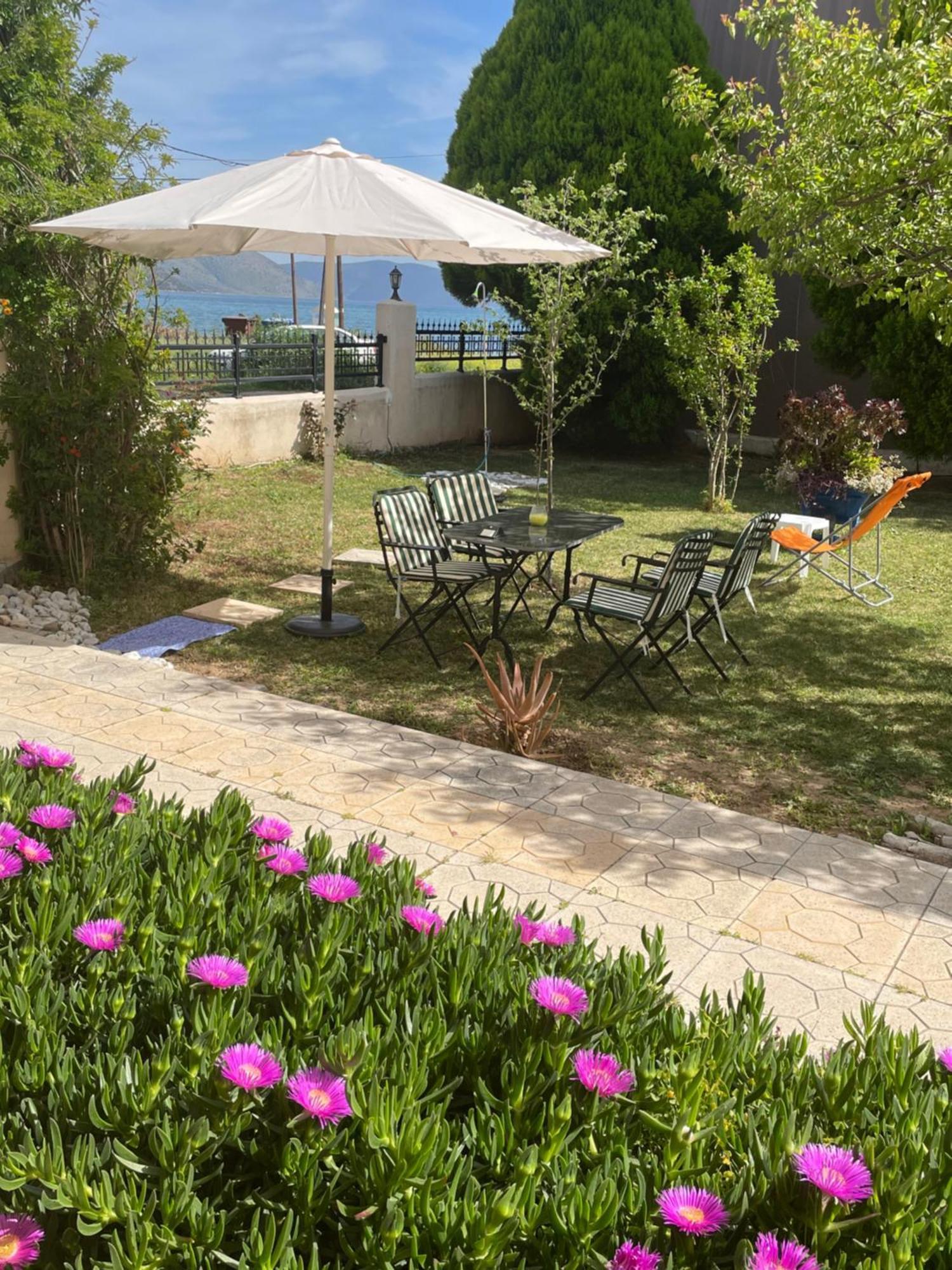 Sea View Studio Kirra Zewnętrze zdjęcie