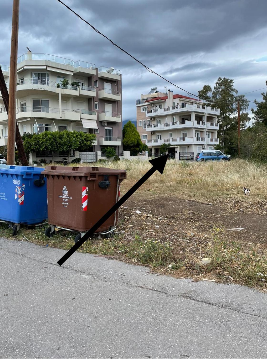 Sea View Studio Kirra Zewnętrze zdjęcie